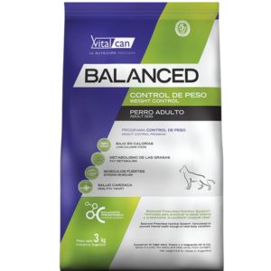 BALANCED CACHORRO