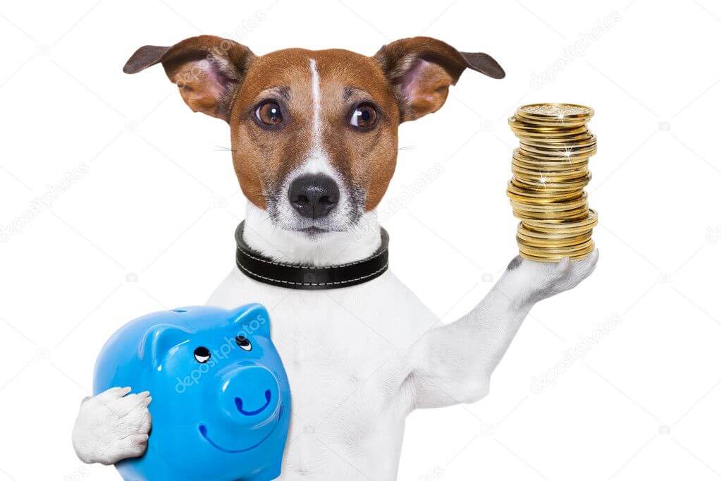 Perro con dinero